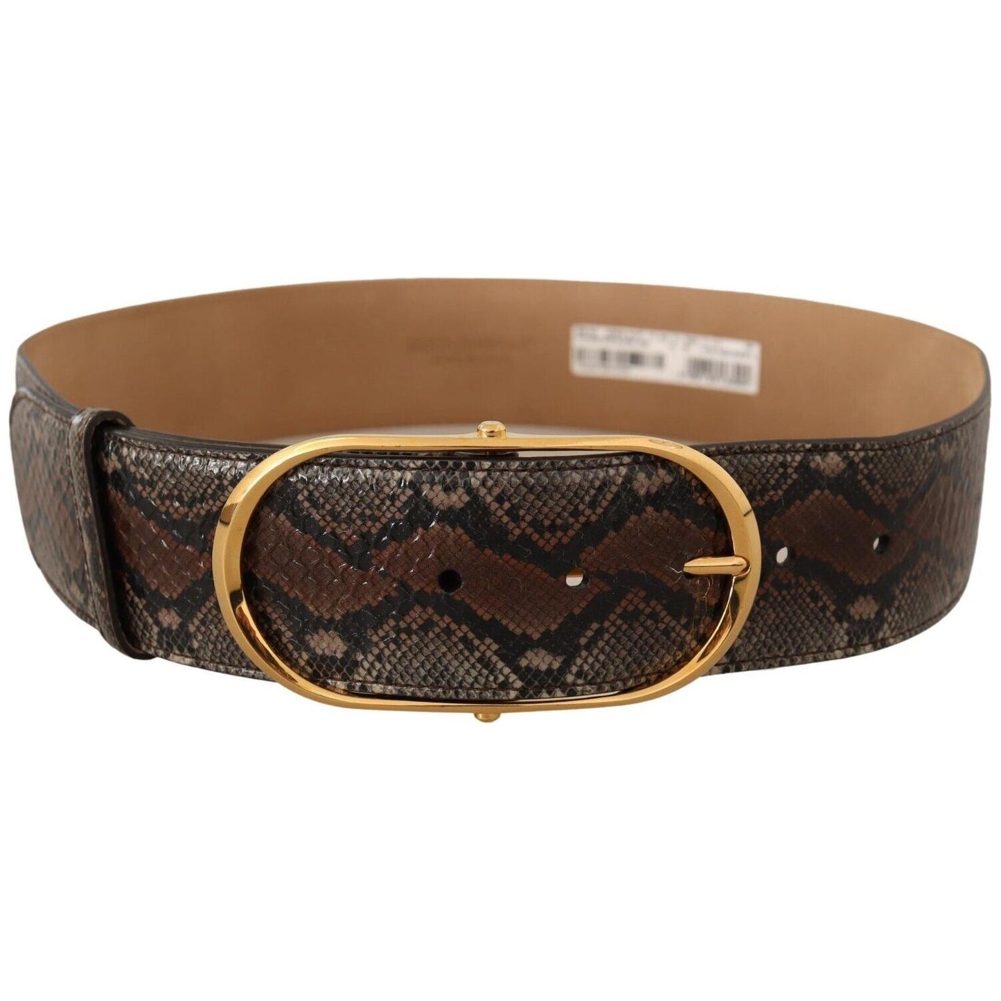 Dolce & Gabbana Elegant Brown Leather Belt with Gold Buckle WOMAN BELTS Dolce & Gabbana