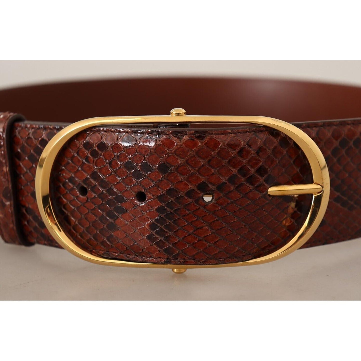 Dolce & Gabbana Elegant Python Snake Skin Leather Belt WOMAN BELTS Dolce & Gabbana