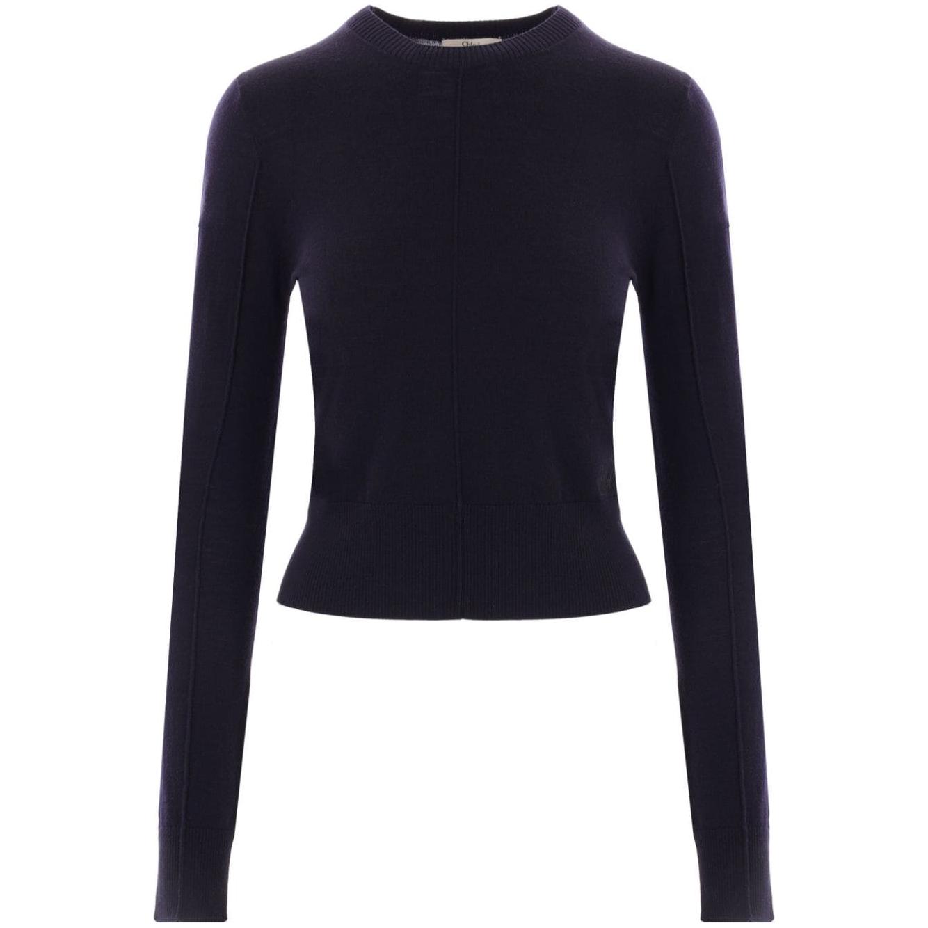 Chloè Sweaters Blue Topwear Chloè