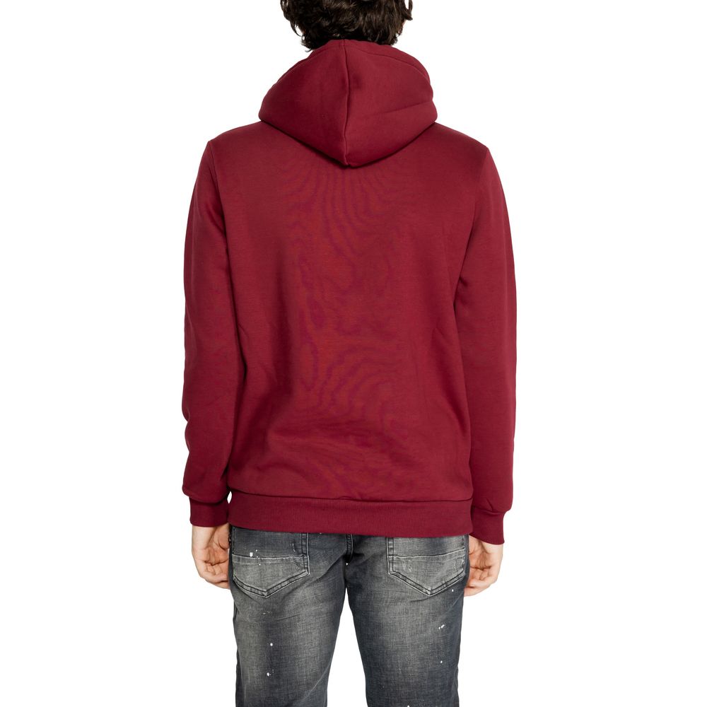 Icon Bordeaux Cotton Sweater